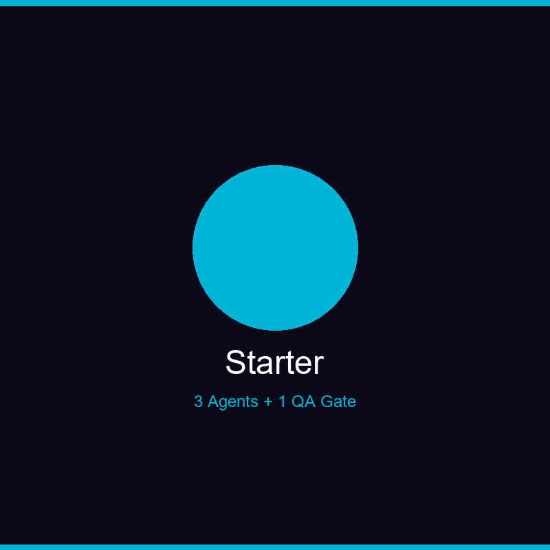 AI Agent Team: Starter - Setup Fee